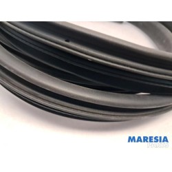 Dacia - Sandero - Portierrubber 4Deurs links-achter