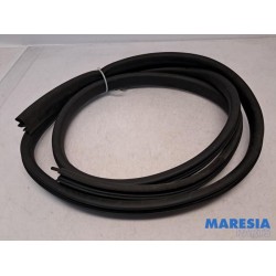 Dacia - Sandero - Portierrubber 4Deurs rechts-voor