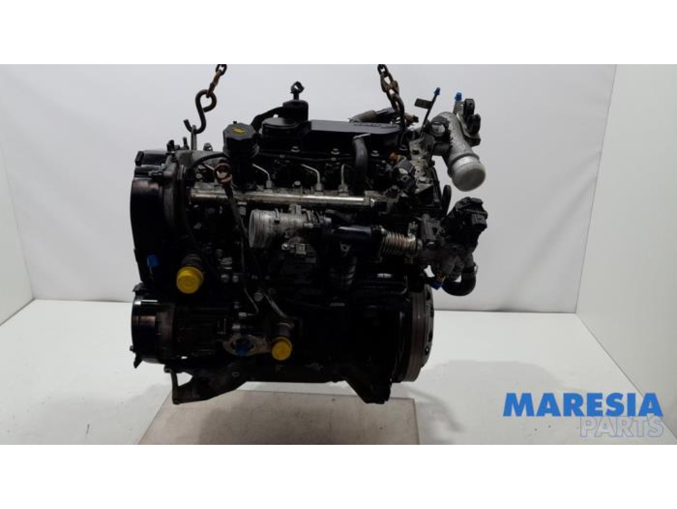 Fiat - Ducato - Engine