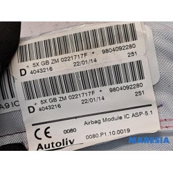 Peugeot - 2008 - Airbag hemel rechts