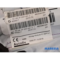 Peugeot - 2008 - Roof curtain airbag, left