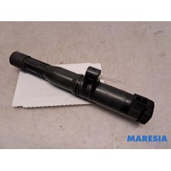 Renault - Laguna - Pen ignition coil