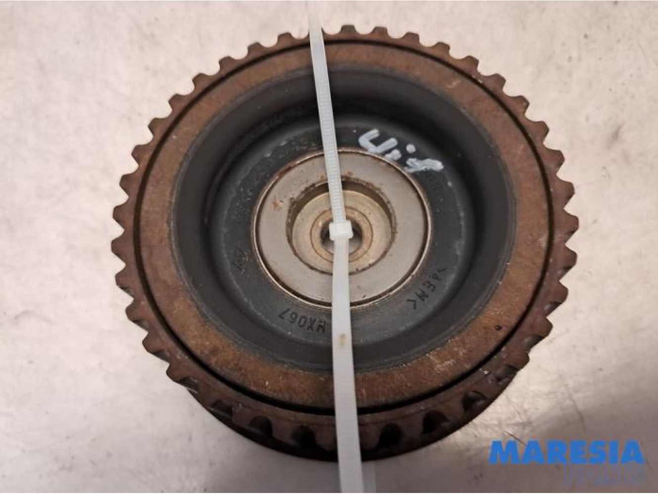 Renault - Laguna - Camshaft sprocket