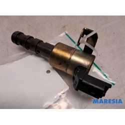 Renault - Laguna - Nokkenas Verstelling