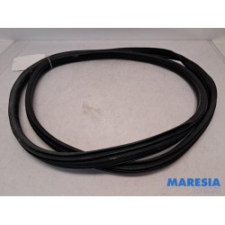 Peugeot - 3008 - Portierrubber 4Deurs rechts-achter