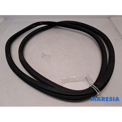 Peugeot - 308 - Front door seal 4-door, left