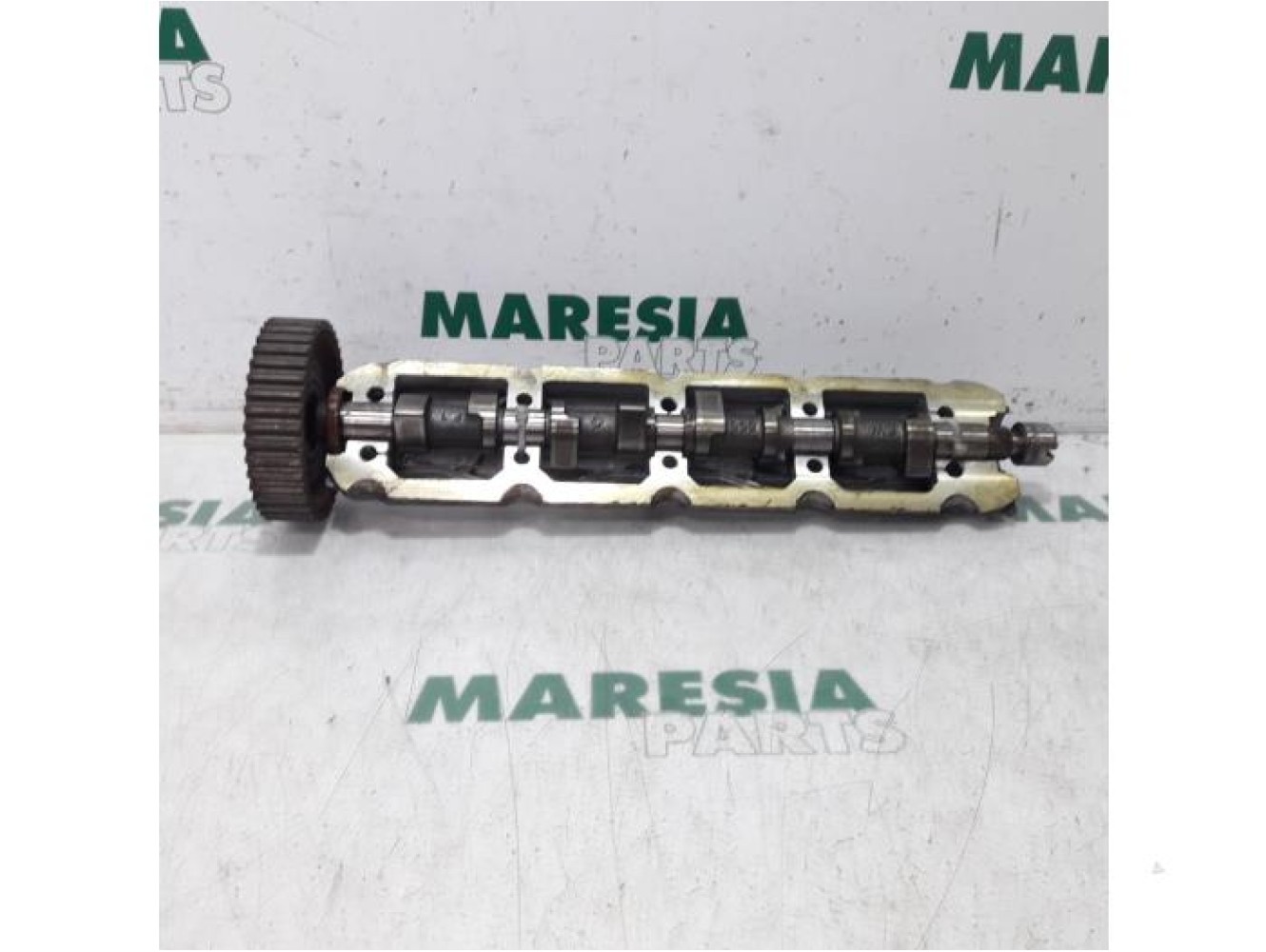 Renault - Kangoo - Camshaft