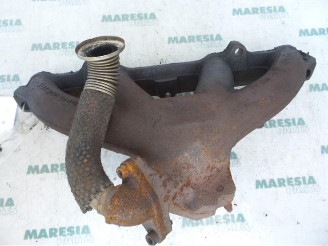 Citroen - Saxo - Tubulure d'échappement