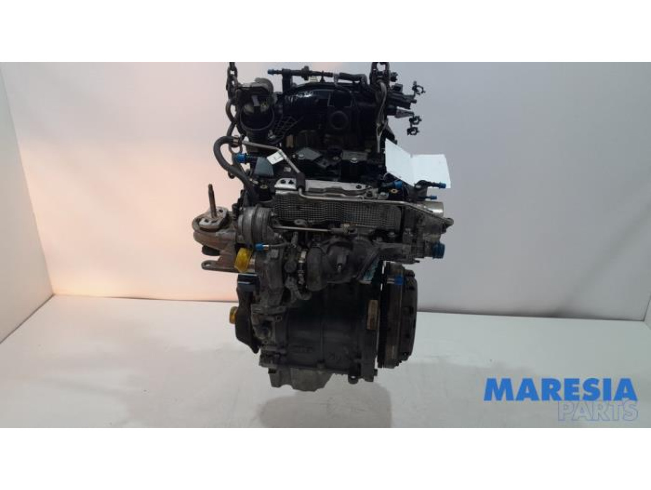 Fiat - 500 - Motor