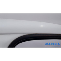 Peugeot - Expert - Tür 2-türig rechts