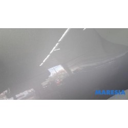 Renault - Clio - Portier 4Deurs links-achter