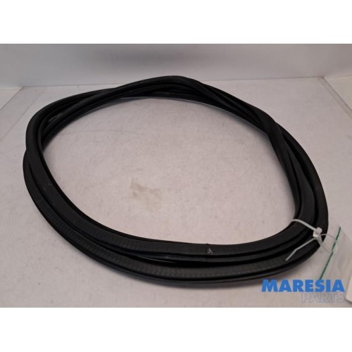 Peugeot - 308 - Front door seal 4-door, left