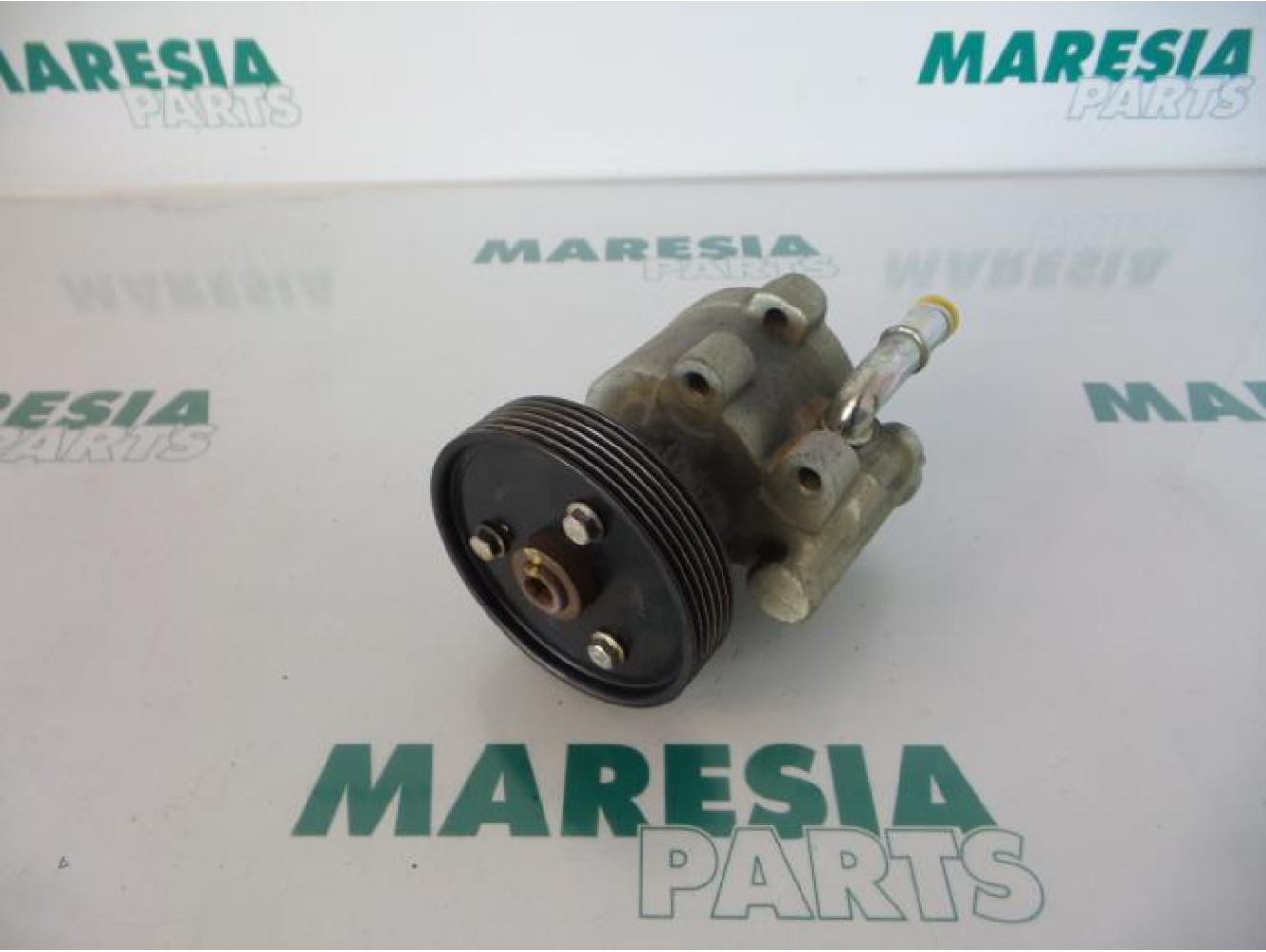Renault - Megane Scenic - Power steering pump