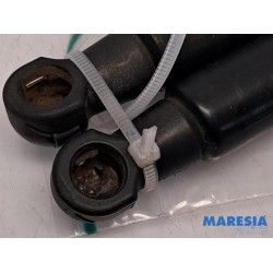 Fiat - 500 - Set of tailgate gas struts