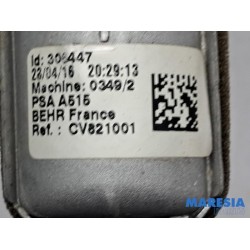 Peugeot - 308 - Heizung Kühler