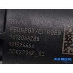 Peugeot - 208 - Nokkenas Sensor