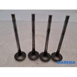 Peugeot - Expert - Induction valve