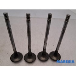 Peugeot - Expert - Induction valve