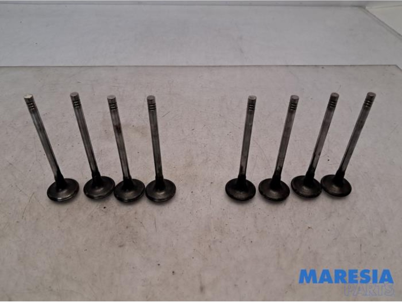Peugeot - Expert - Induction valve