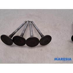 Peugeot - Expert - Induction valve