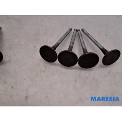 Peugeot - Expert - Induction valve