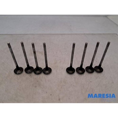 Peugeot - Expert - Induction valve