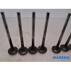 Peugeot - Expert - Exhaust valve