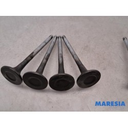 Peugeot - Expert - Exhaust valve