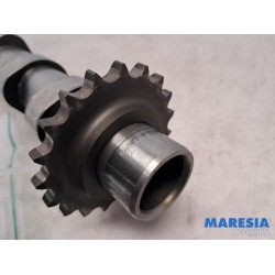 Peugeot - Expert - Nokkenas