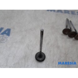 Peugeot - 207 - Induction valve