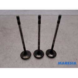 Peugeot - 207 - Induction valve