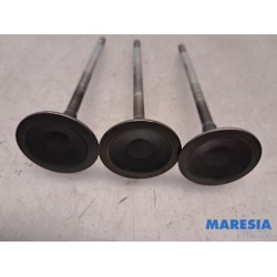 Peugeot - 207 - Induction valve