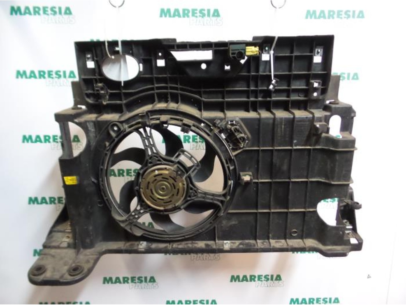 Fiat - Stilo - Koelvin Motor