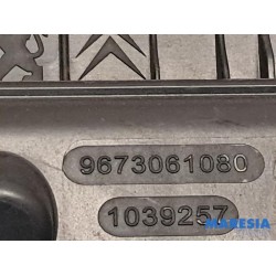 Peugeot - Expert - Luftfiltergehäuse