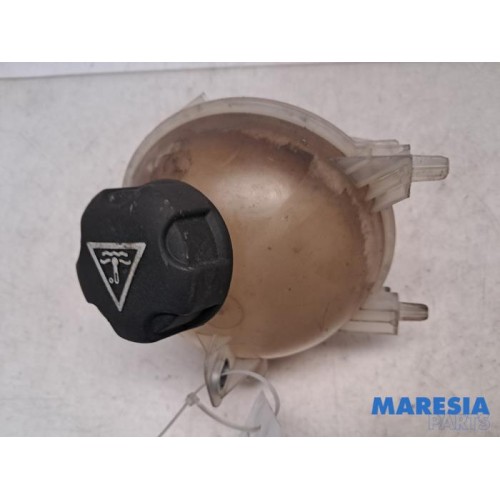 Peugeot - Expert - Expansion vessel