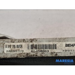 Peugeot - Expert - Kühler