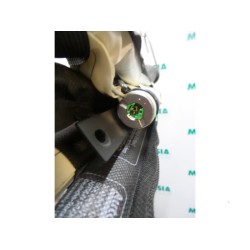 Renault - Megane Scenic - Airbag Himmel rechts