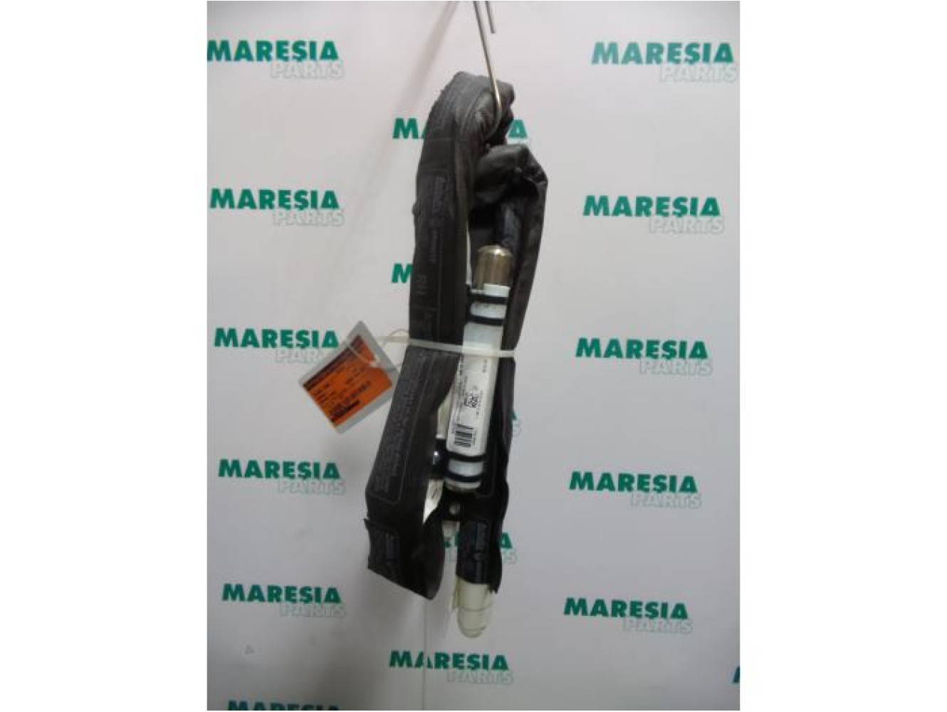 Renault - Megane Scenic - Airbag Himmel rechts
