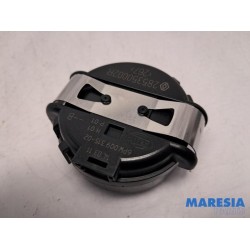 Renault - Megane - Rain sensor
