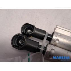 Renault - Megane - Set of tailgate gas struts