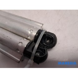 Renault - Megane - Set of tailgate gas struts