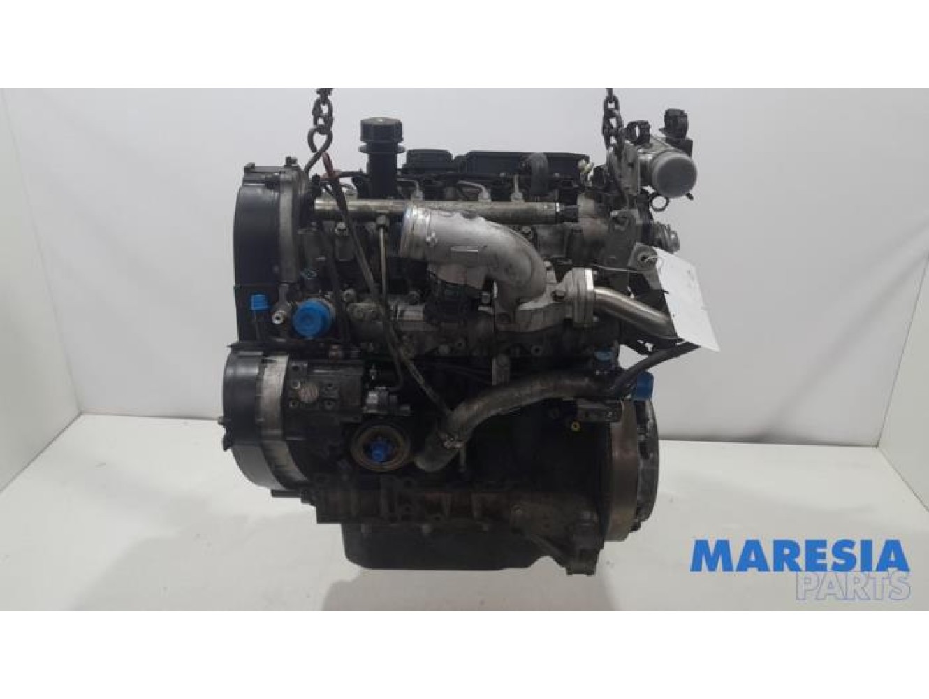 Fiat - Ducato - Engine