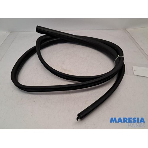 Renault - Twingo - Door seal 2-door, left