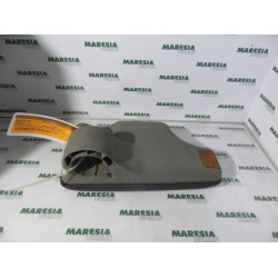 Renault - Megane Scenic - Armrest