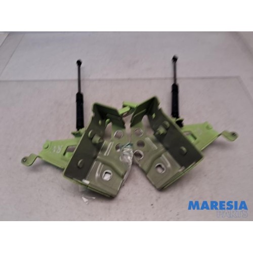 Renault - Trafic - Gasdämpfer Motorhaube Set