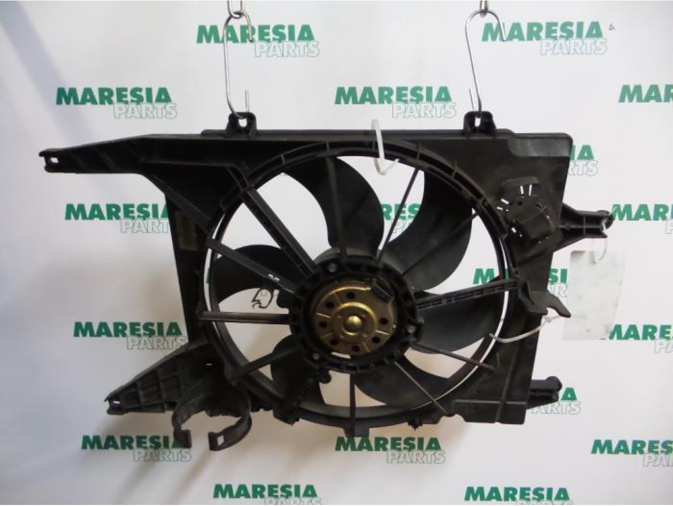 Renault - Megane Scenic - Kühlgebläse Motor