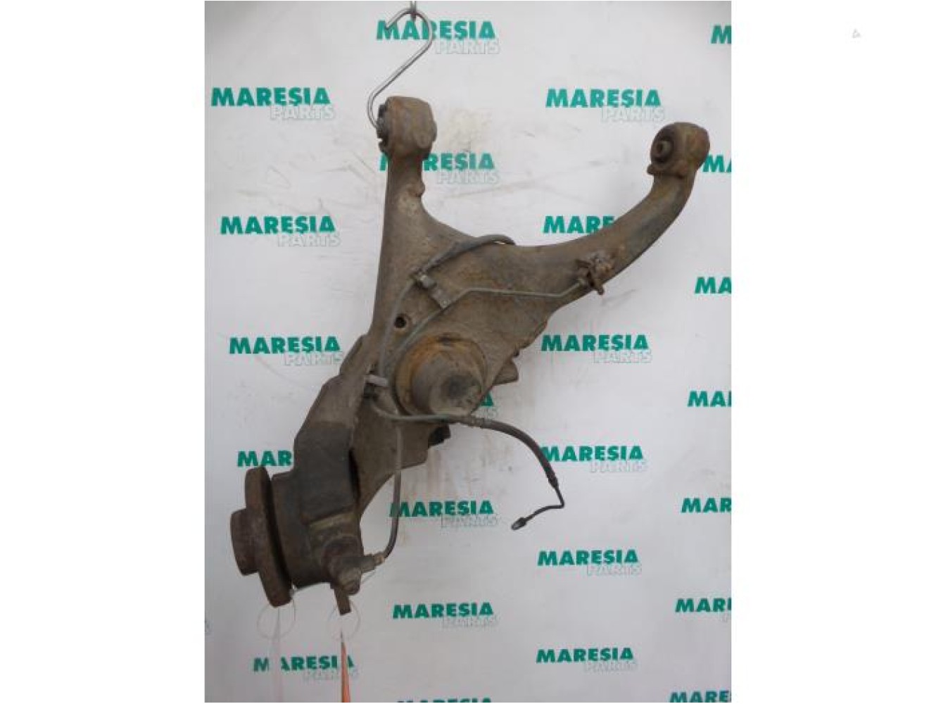 Renault - Megane Scenic - Querlenker links hinten