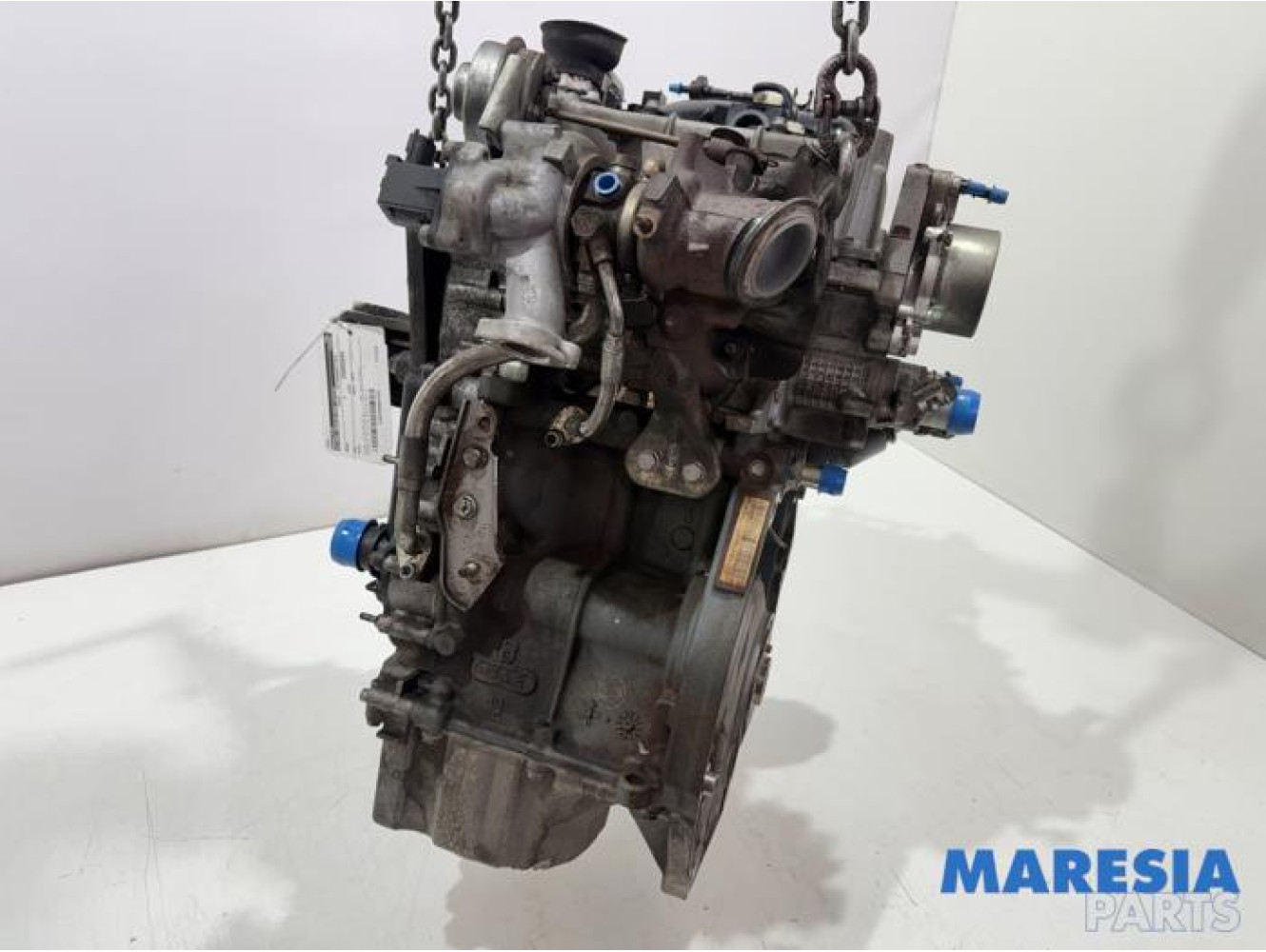 Fiat - Punto - Motor