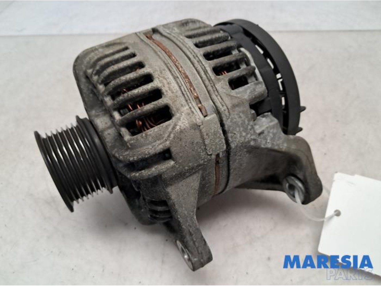 Fiat - Ducato - Dynamo