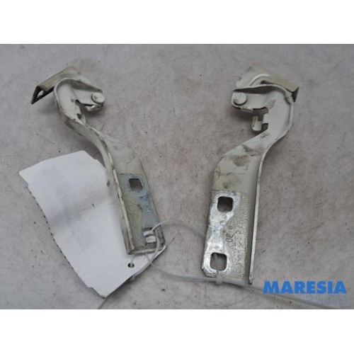 Fiat - Ducato - Bonnet Hinge